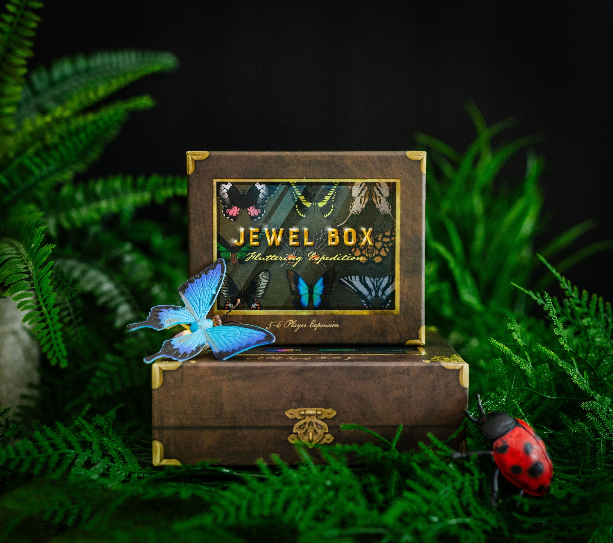 Jewel Box - Fluttering Expedition – Lovemore Games