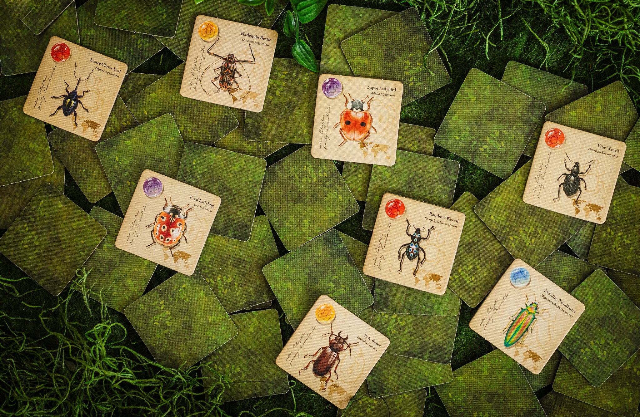 Jewel Box – Lovemore Games